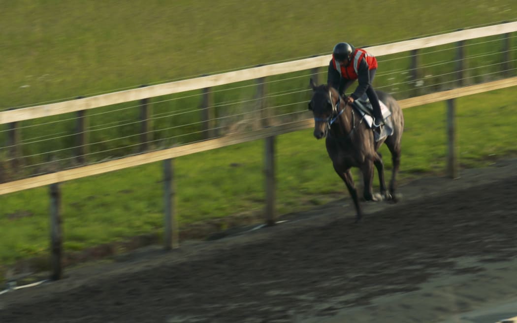 Ace Lawson-Carroll is an apprentice jockey at Clotworthy's Stables in Pukekohe.