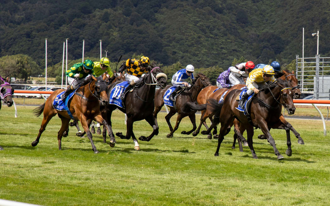 Force of Will (R ridden by Craig Grylls wins the  New Zealand Blood Stock Desert Gold Stakes race during the Wellington Cup horse racing at Trentham Racecourse in Wellington on 31 January 2021.