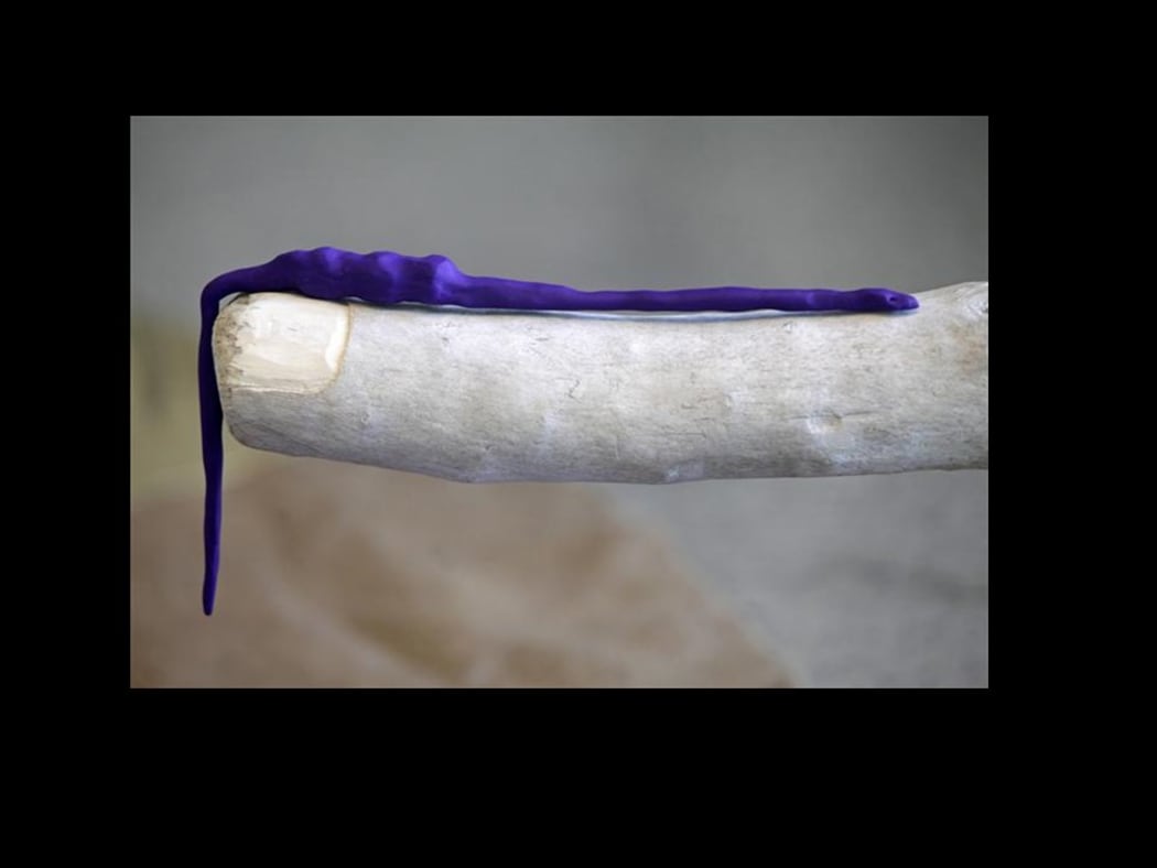 de Castro-Robinson - a zigzagged gaze Image 2:
Josephine Cachemaille: Diviner and minder