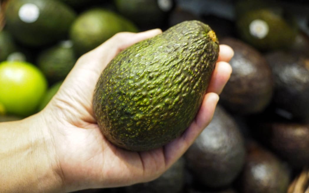 An avocado/File