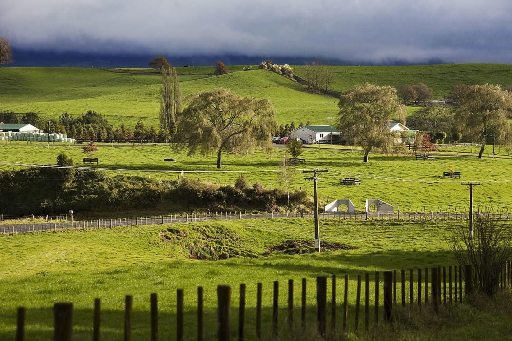 Farm, South Island, New Zealand.