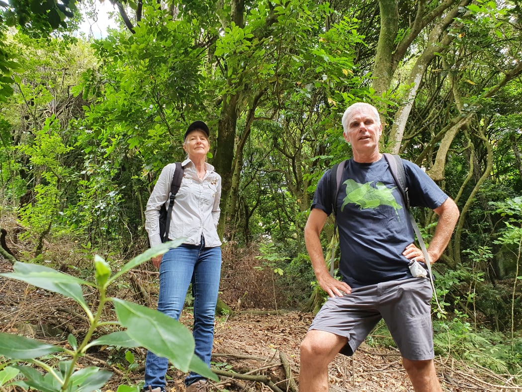Edward Duff and Amanda de Krester in the threatened Kohimarama Forest.