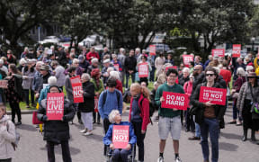Protesters against the Euthanasia Bill gather outside Parliament.