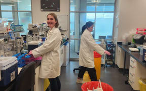 Olga Palmer (left) and Ngarangi Mason analyse cells from vaccinated mice.