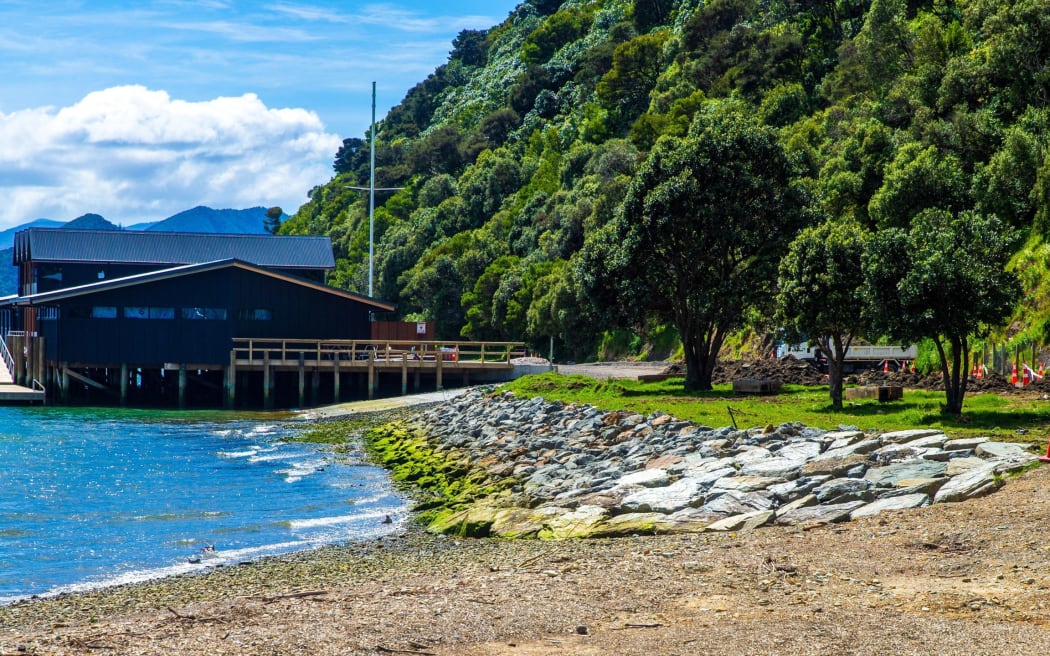 The owner of the sauna wanted to set up next to Shelly Beach, near the Queen Charlotte Yacht Club.