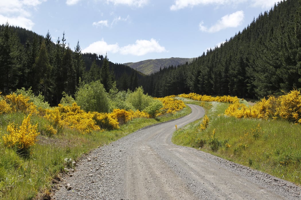 Unsealed roads like Taylor Pass Road could be the biggest losers after the Marlborough District Council’s road budget fell by $10 million.