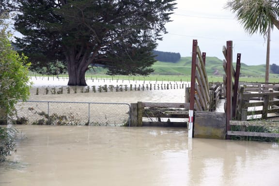 4q8wnl1 gallery image 8280