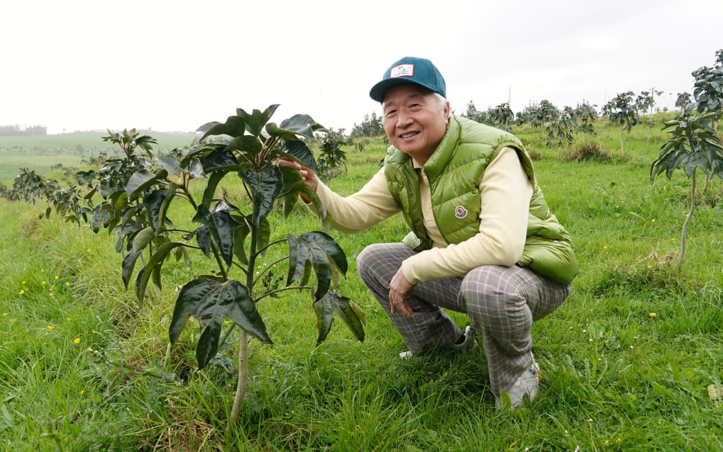 Ilchi Lee and hwangchil, a Korean medicinal plant