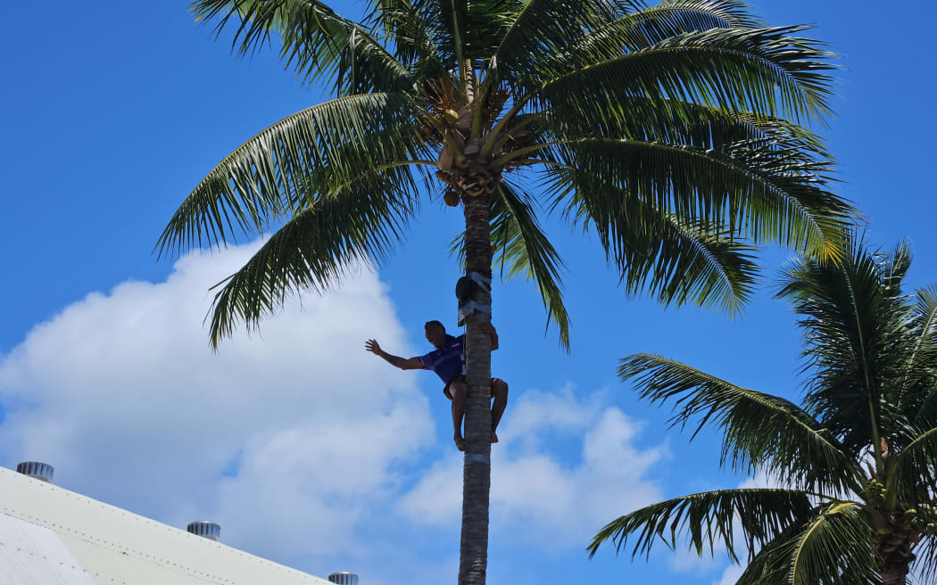 Speed climbing up a coconut tree was a heart racing part of the traditional games.