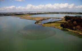 Manukau Harbour discharge