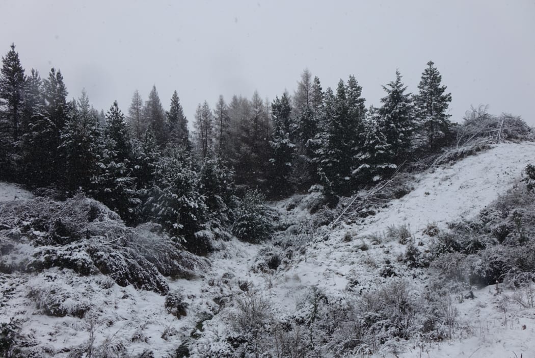 Snow in the Mackenzie country following the large fire near Twizel.