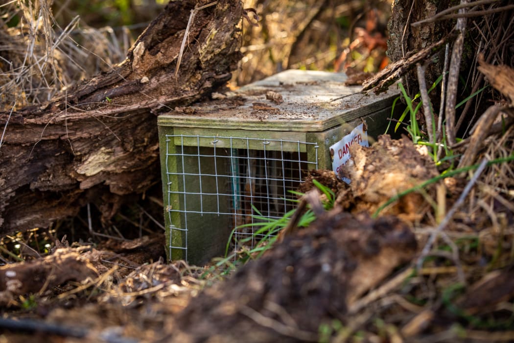 Canterbury pest control trap