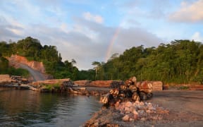 Piles of export ready logs on PNG's Manus Island, October 2019.