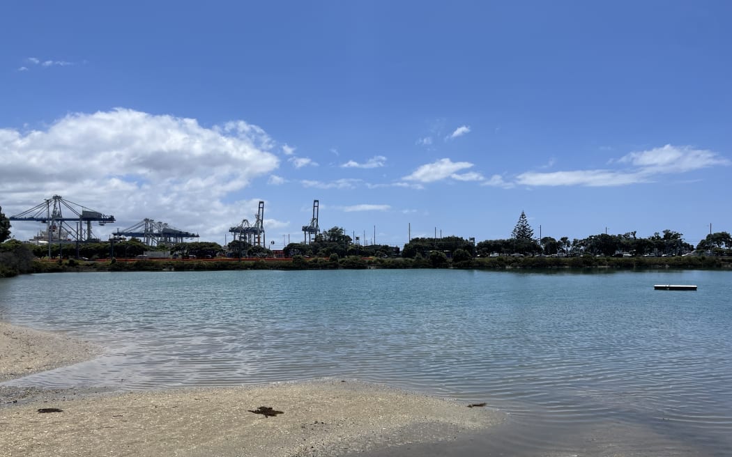 Judges Bay, in Parnell, is a popular summer swimming spot.