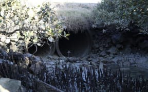 Under road concrete pipes with water trickling out