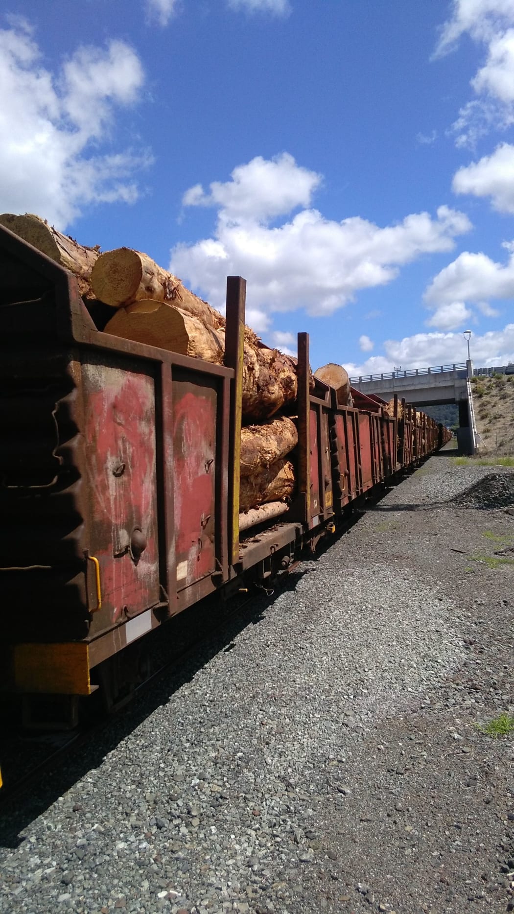Northland log train