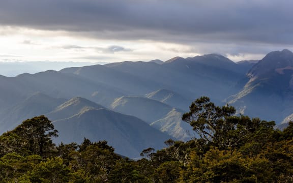View from John Reid Hut, Kahurangi