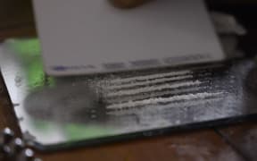 Someone prepares several lines of cocaine on a mirror.