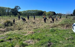 People planting trees