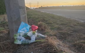 Five teenagers died when the car they were in crashed into a power pole at the intersection of Seadown Road and Meadows Road in Washdyke, near Timaru, on Saturday 7 August 2021