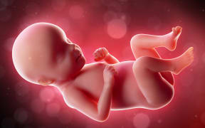 Illustration of fetus.