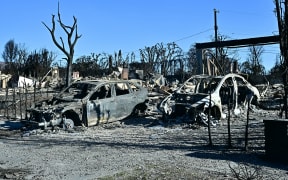 Burned-out cars and homes reduced to rubble by the Palisades Fire are seen in the Pacific Palisades neighborhood of Los Angeles, California, on January 12, 2025. US officials warned "dangerous and strong" winds were set to push deadly wildfires further through Los Angeles residential areas January 12 as firefighters struggled to make progress against the flames. At least 16 people have been confirmed dead from blazes that have ripped through the city, reducing whole neighborhoods to ashes and leaving thousands without homes. (Photo by Frederic J. Brown / AFP)