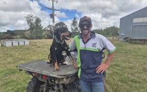 Chris Shaw is happy with the progress 1-year-old Huntaway Miley is making.