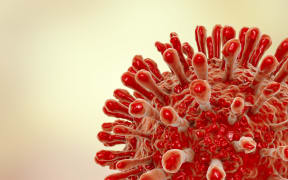 Computer illustration of a human immunodeficiency virus (HIV) particle.