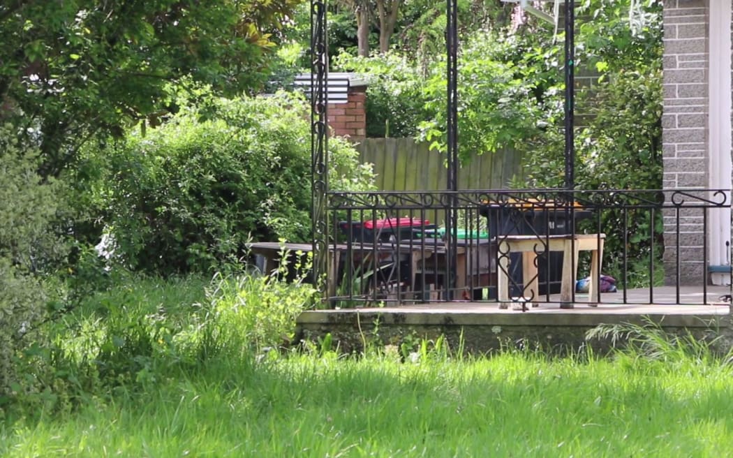 A front garden in Ilam.