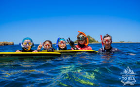 A group of snorkelers with their guide at Taputeranga Marine Reserve. They are floating at the surface holding on to some body boards.