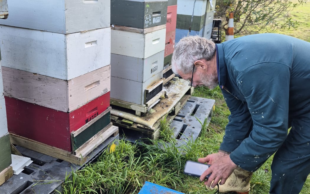 Frank Lindsay takes a photo of a bee board. Using AI technology he can rapidly count the number of mites in a hive.