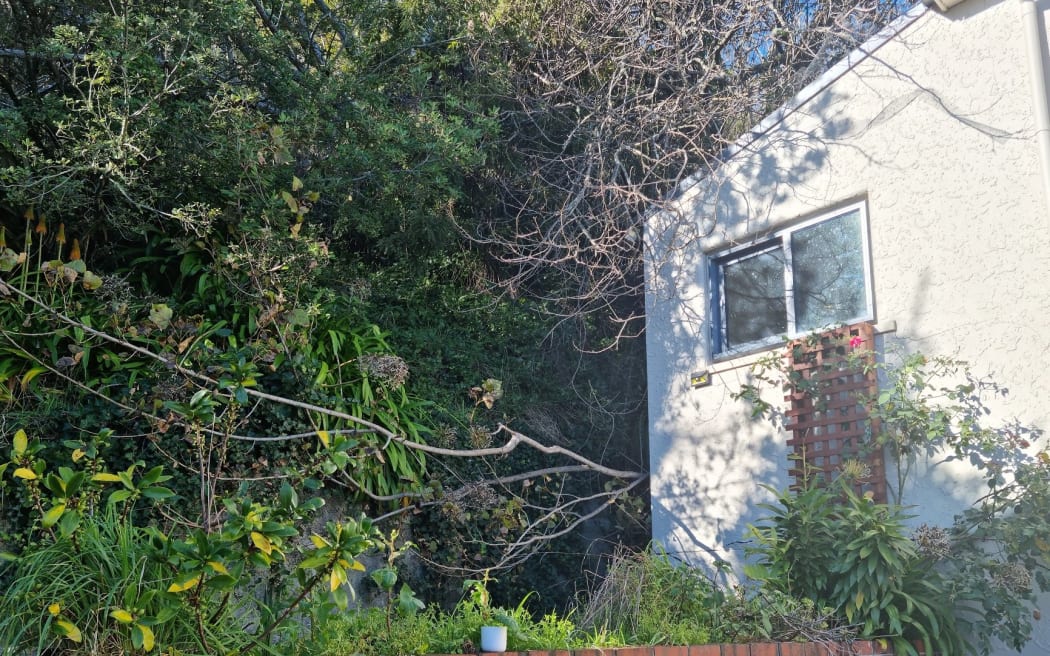 A slip on a home in Nelson.