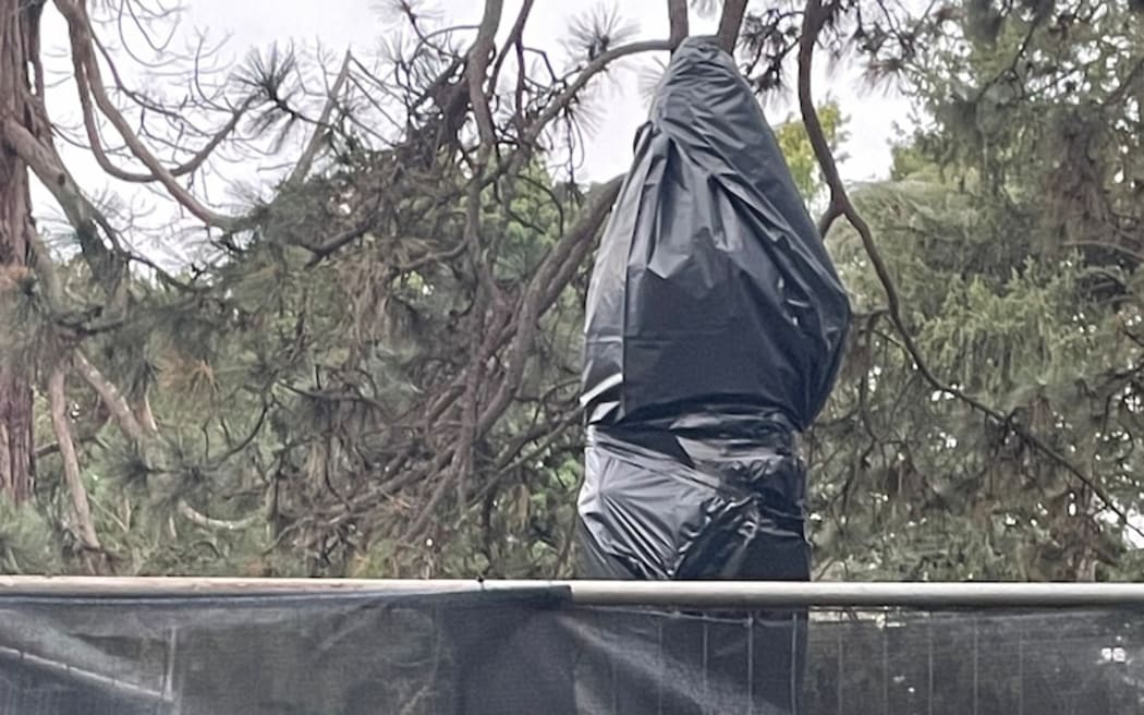 Police are investigating the decapitation of two prime minister's busts in the Ballarat Botanical Gardens.