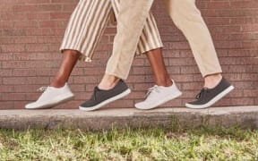 Allbirds shoes