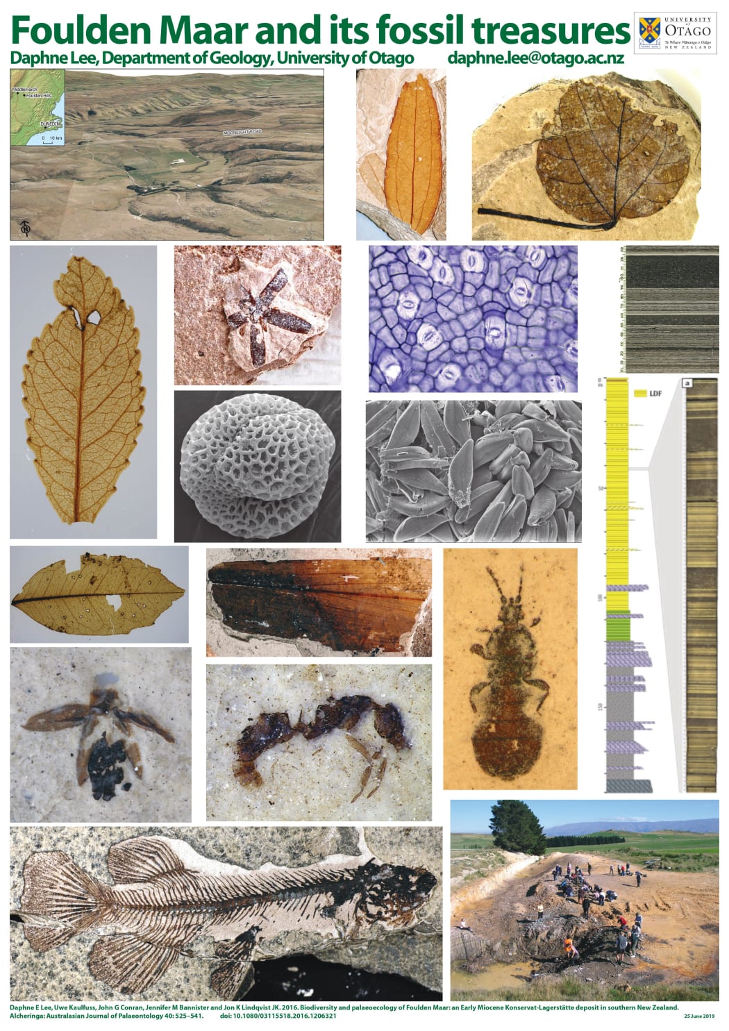 Foulden Maar and its fossil treasures Poster 
Daphne E Lee, Department of Geology, University of Otago