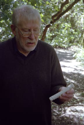 Tūtemangaroa (Kōauau)