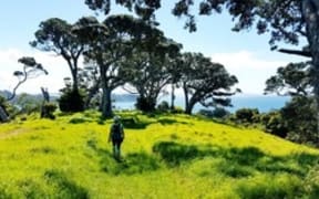 Waiheke's Te Ara Hura walk