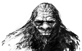 The Sasquatch