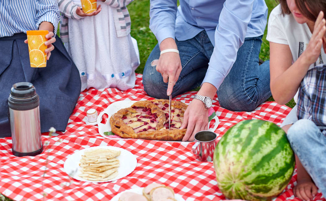 Happy family at a picnic. Picnic in the meadow or park. Young friends and their children in nature.