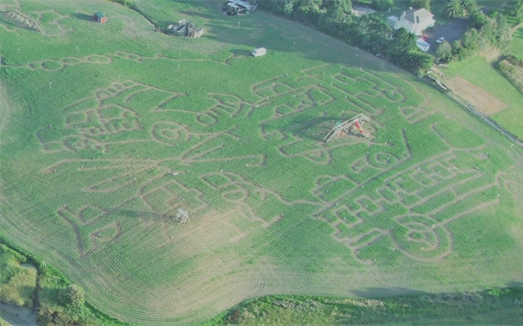 A maze from above