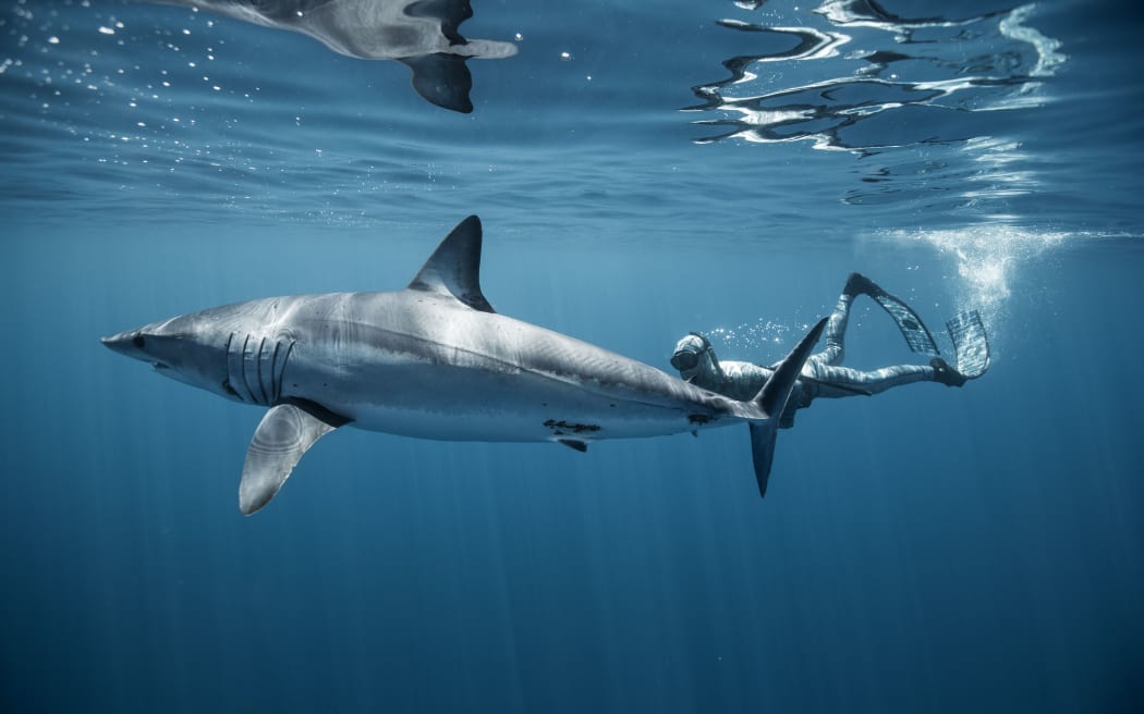 Riley Elliott with a mako shark
