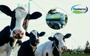 Milk price WYNTK graphic