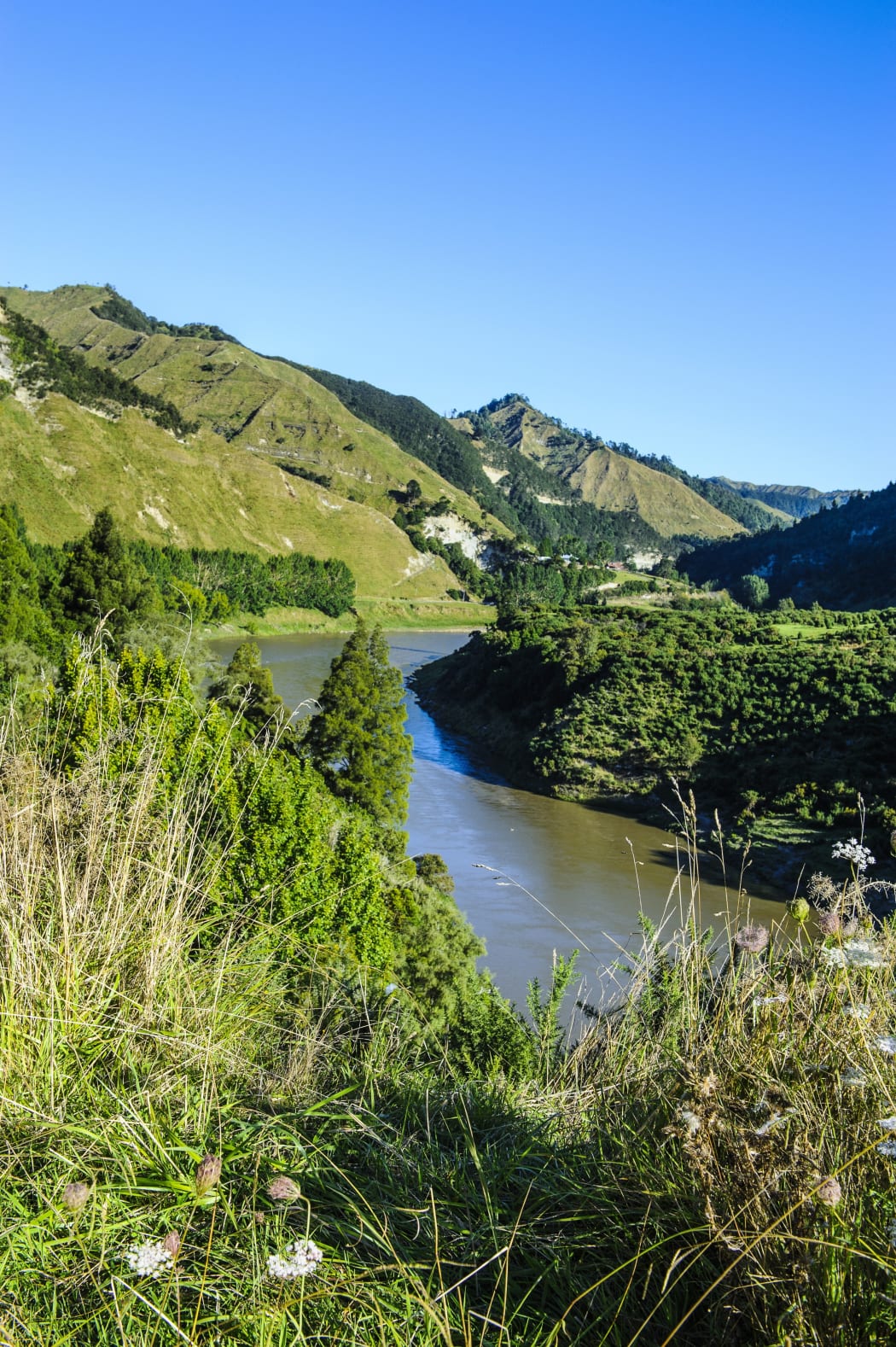 Whanganui River
