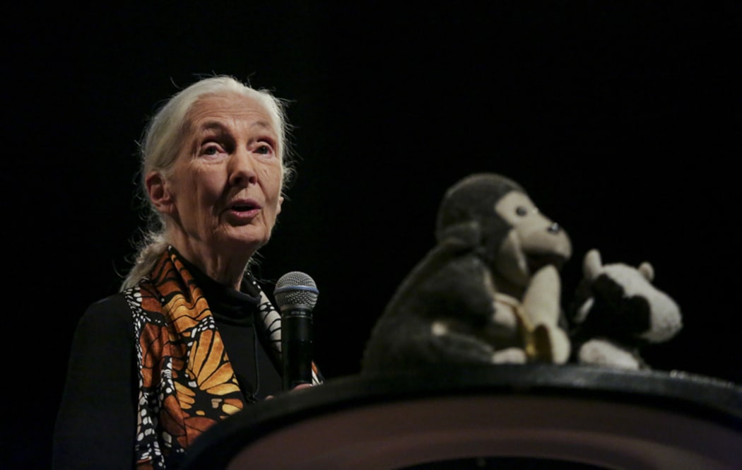 Jane Goodall speaks at her event  “Tomorrow & Beyond Tour”.