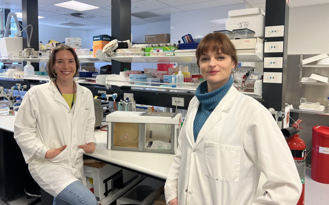 Two women in white lab coats stand in front of a lab bench. There is a transparent rectangular box on the lab bench.