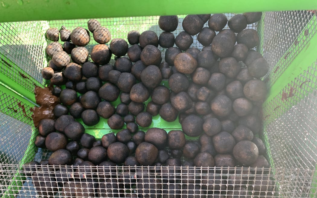 Recovered nodules