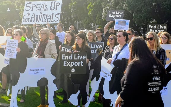 A protest organised by SAFE outside Parliament, calling for an end to the export of live farm animals.