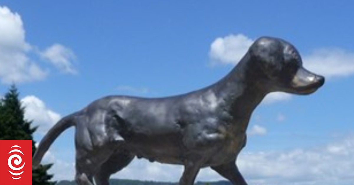 Dog statue cut from base in Rotorua RNZ
