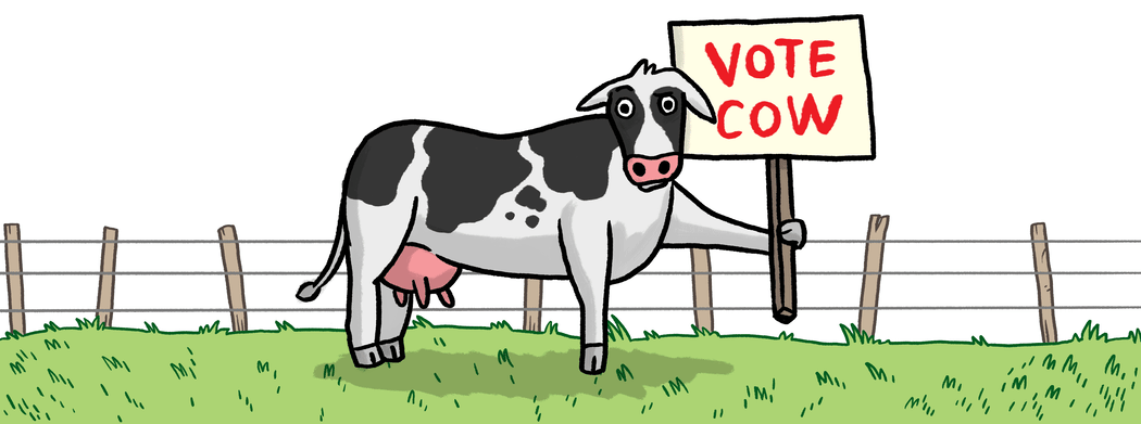 A cow holds a sign saying "vote cow"