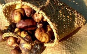 Kumara